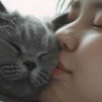 Los 11 Consejos Vitales Para Incorporar las Vitaminas en la Dieta de tu Gato